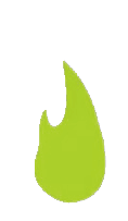 Oil